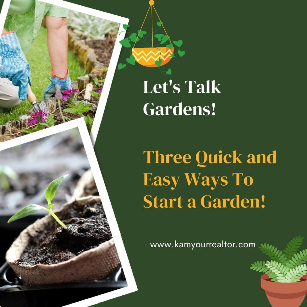 3 Quick and Easy Ways to Start a Garden!